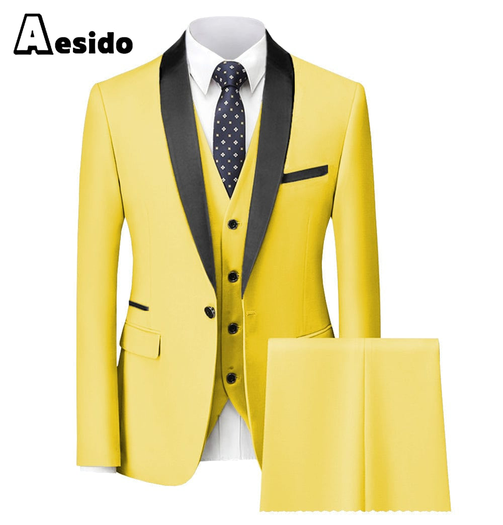 aesido Leisure Single Button Closure Shawl Lapel Women Suit (Blazer+Vest+Pants)